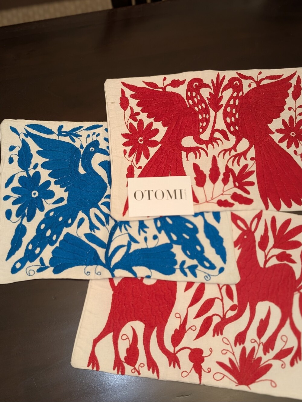 Mexican Otomi Accent Pillow Cases